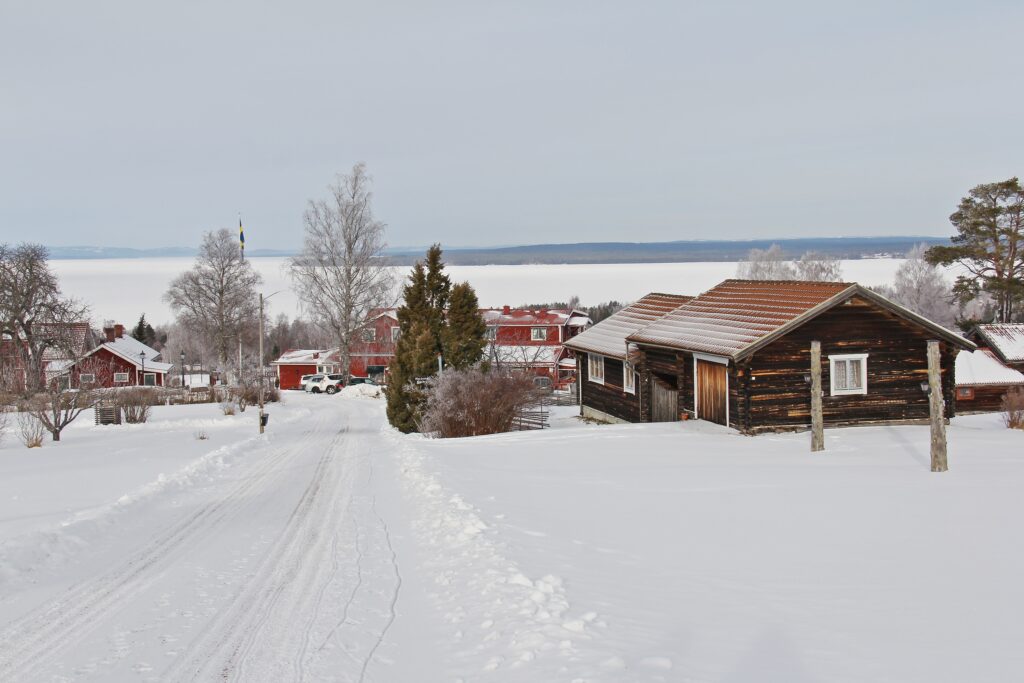 Snow covered landscape