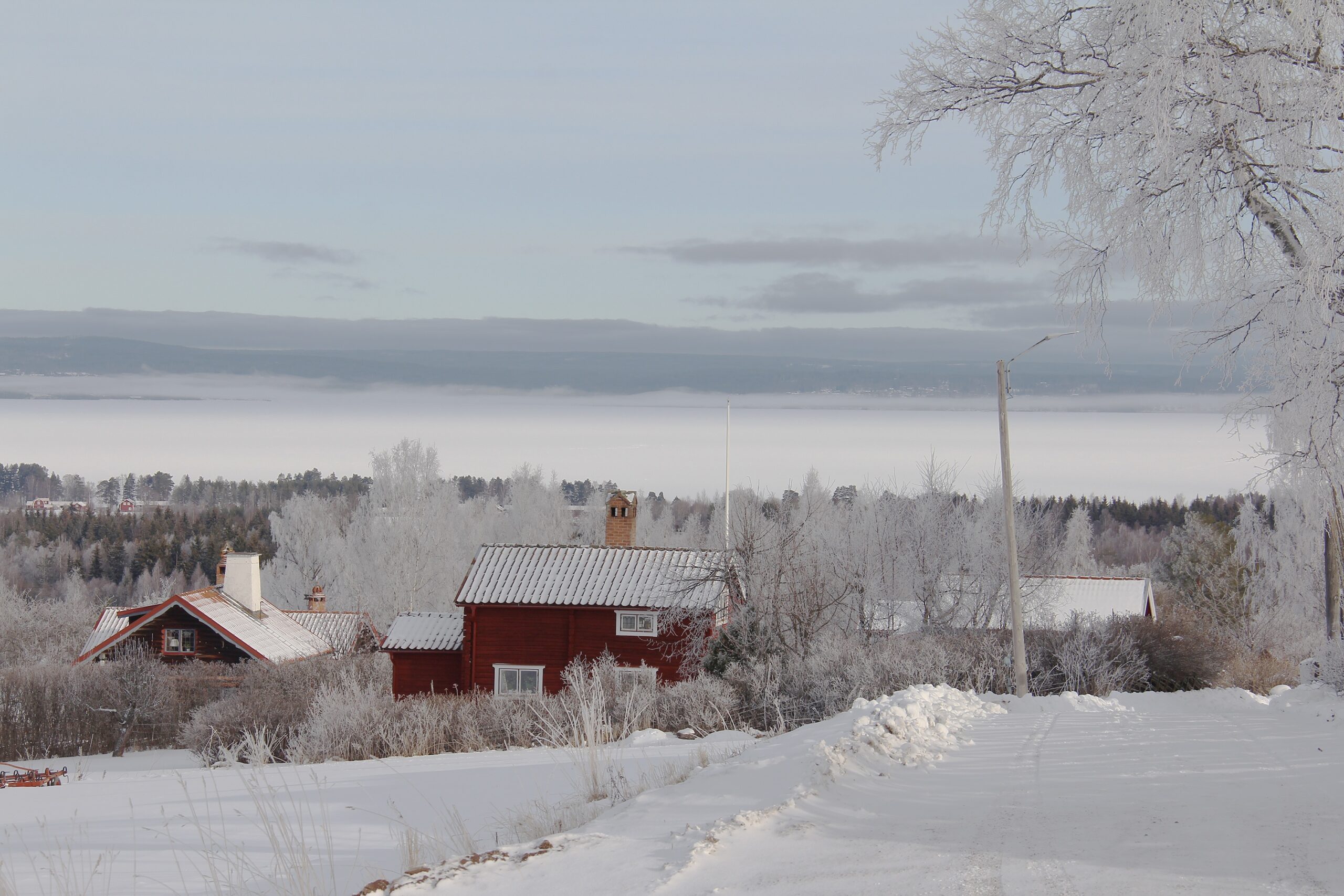 Snow covered landscape