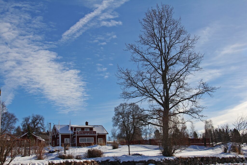 Snow covered landscape